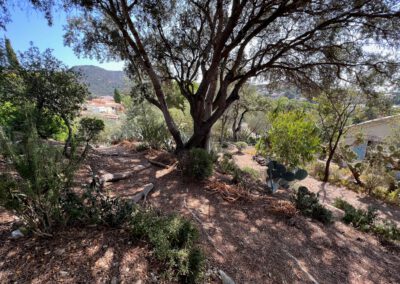 View from back of the garden to the sea