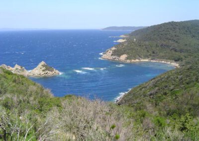 Vakantiehuis Villa Le Cactus huren Cote d'Azur Zuid Frankrijk