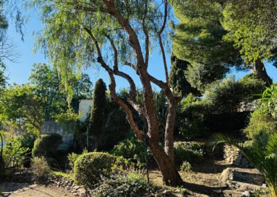 Vakantiehuis Villa le Cactus, Bormes-les-Mimosas